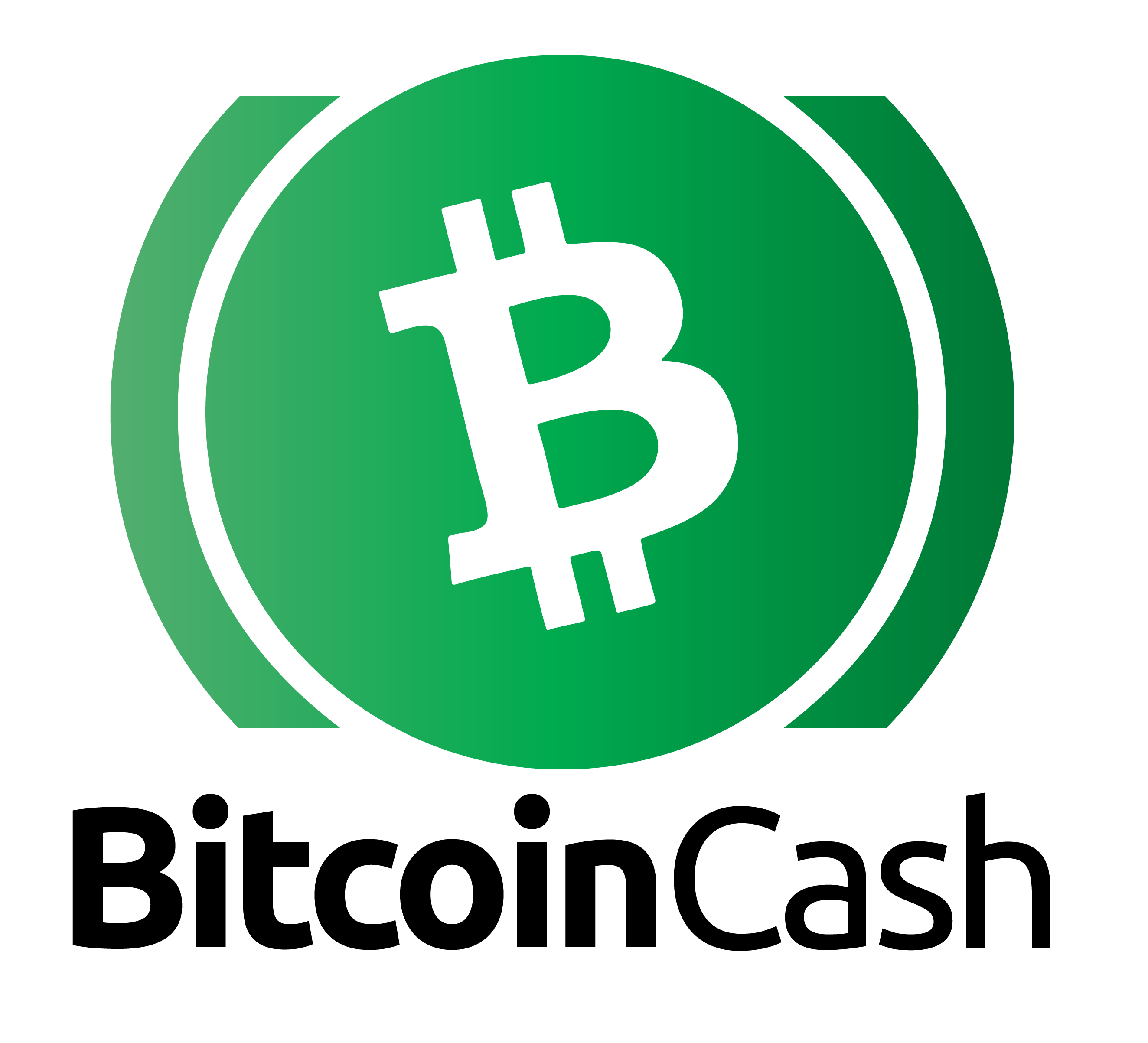 bitcoin cash guide